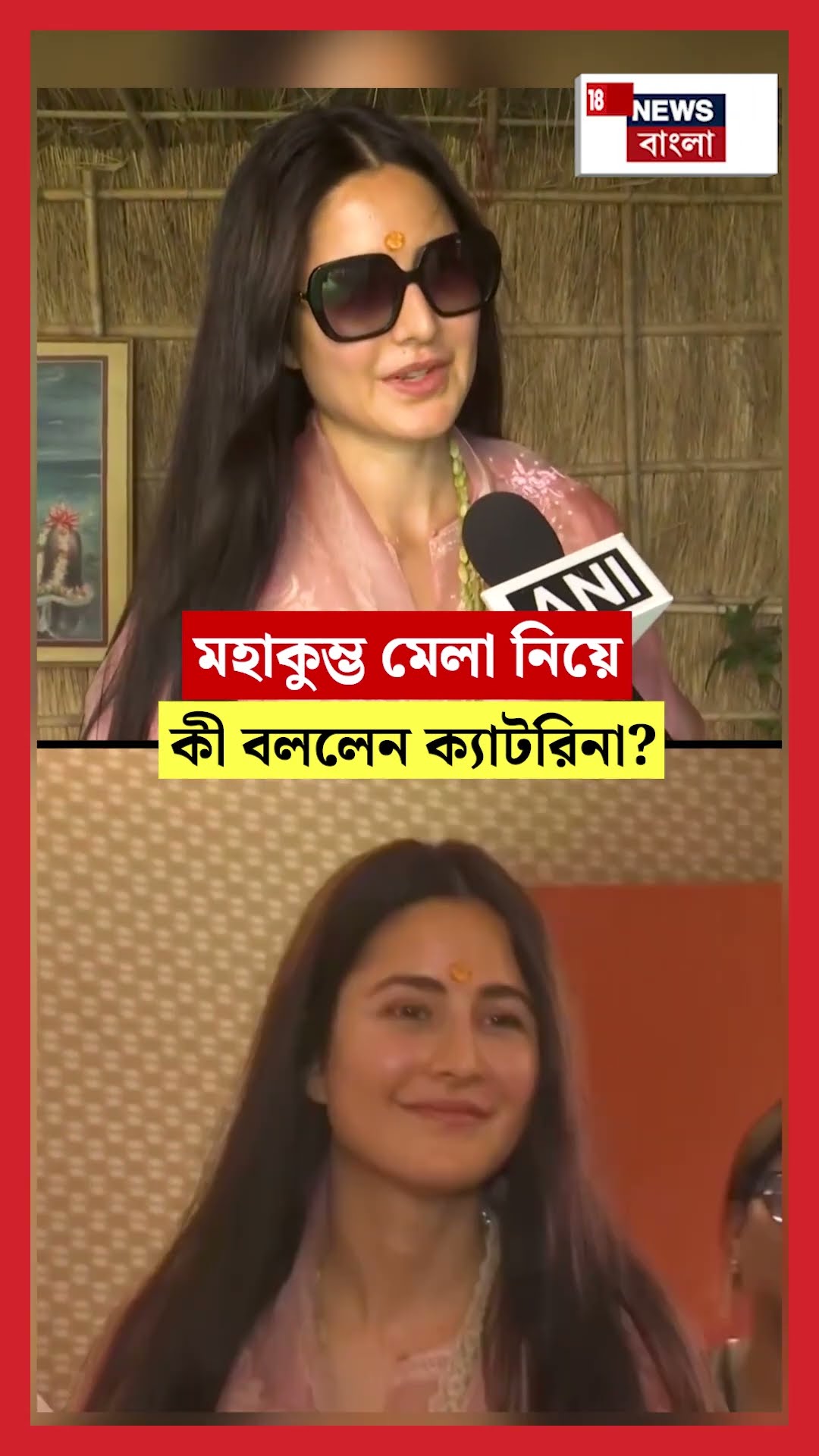 Mahakumbh Mela 2025 নিয়ে কী বললেন Katrina Kaif? | N18S | #shorts