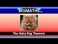 The Hairy Dog Theorem - a mathematical theorem crucial to fusion reactor design