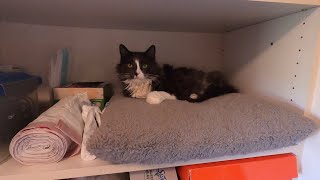 Wildhorse Resort RV Park Golf Course Drive to Northeast Oregon Fall 2023 Trip Da