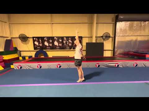 Level 3 Floor Routine Left