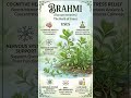 DRUG-BRAHMI🌿🌱 The "Ancient Wisdom" Vibe