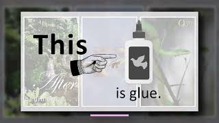 The Dynamics and Distinctives of Q50 Community Church