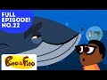 Exploring Marine Life and Animals