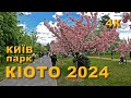 Київ. Парк &quot;Кіото&quot; 2024