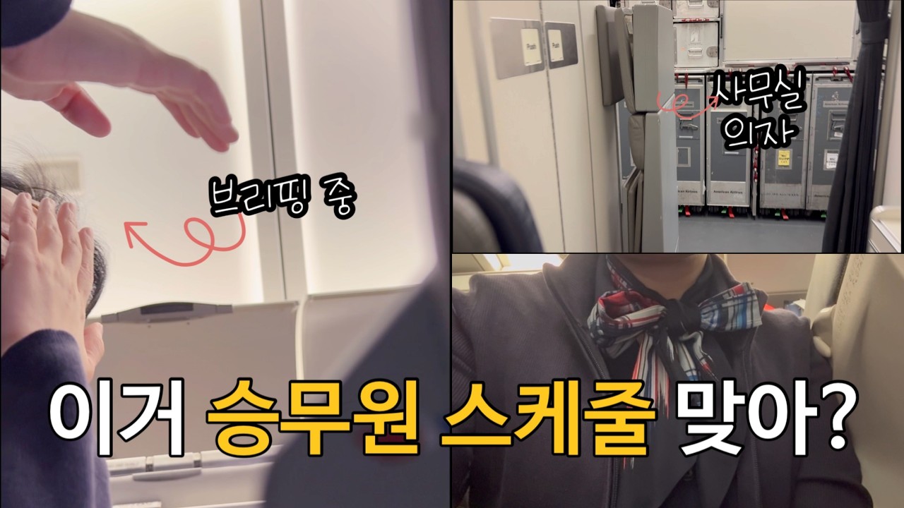 10년차 뉴욕 승무원의 당황스러운 비행 스케줄
