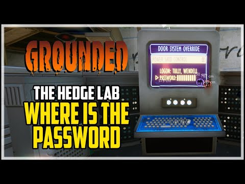 Find The Terminal Password Grounded The Hedge Lab Quest