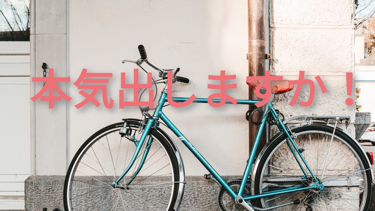 自転車 17km