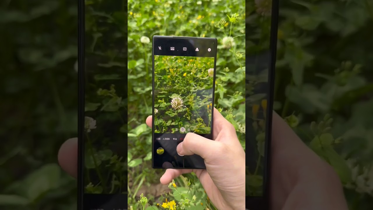 Nubia Z60 Ultra Camera Test