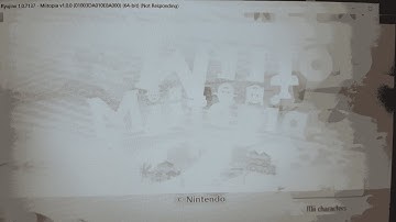 Miitopia Chaotic Randomizer Playthrough: Part 11