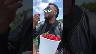 We Deserve A Public Apology Own It Kennys Strawberry Farm... Way Too Good...