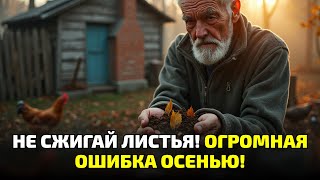 видео: Не копай и не удобряй! Один лист делает землю живой и плодородной! картинка: Не копай и не удобряй! Один лист делает землю живой и плодородной!
