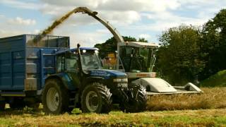 BallyGalda Farm's - Wholecrop 2016