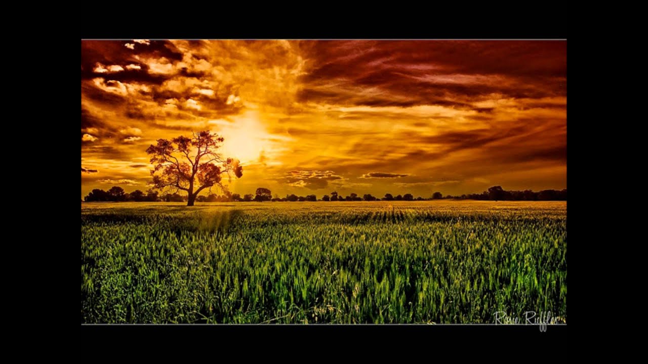 Kate Rusby- Green Fields auf YouTube ansehen Kate Rusby- Green Fields auf YouTube ansehen