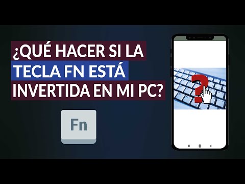 Cómo Activar o Invertir la tecla Fn en una Laptop o PC - ¿Qué Hacer si la Tecla Fn está Invertida?