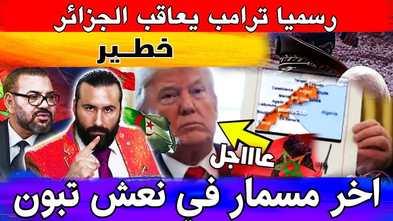 رسميا ترامب يعاقب الجزائر ويدق اخر مسمار في نعش تبون