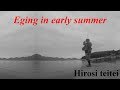 エギング アオリイカ 夏イカ 2018 7月