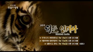 160914 추석기획 동물의세계-히든 인디아 예고 ㅣ KBS방송 screenshot 4