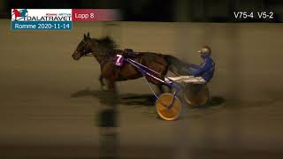 Vidéo de la course PMU PRIX STAYERLOPP