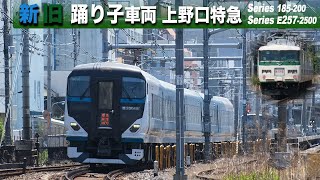 新旧の「踊り子」車両の特急を尾久で　/　Limited express using old and new "Odoriko" cars in Oku