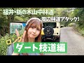 【ダート枝道編】林道アタック★栃の木山中林道近くの未舗装路に潜入！ジムニードライブ【福井県南越前町】