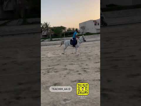 خيل وخيالة موسيقى الخيول