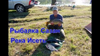 Рыбалка Карп - Сазан, Река Исеть.