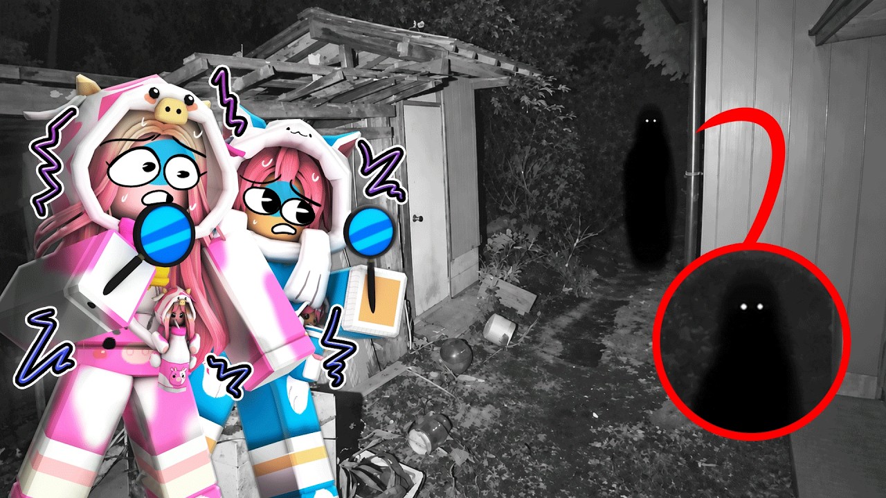 MOMON SPT 24 SEARCHING FOR ANOMALIES