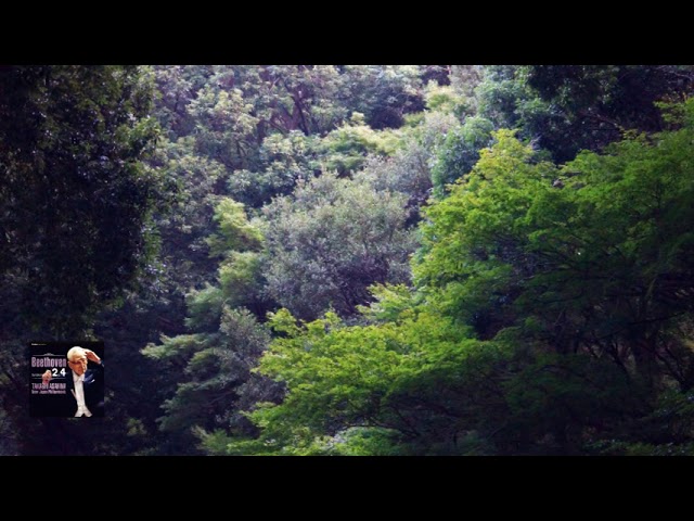 YouTube पर ベートーヴェン：交響曲 第4番 変ロ長調 作品60 朝比奈 隆 1998 देखें
