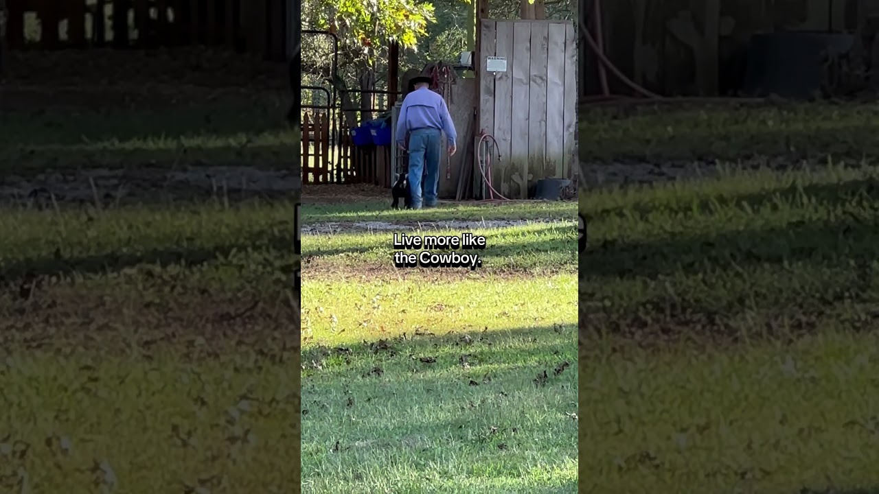 Rescue animal sanctuary thoughts 