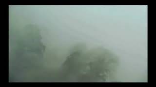 Mishito Mío Reyna Chupolense