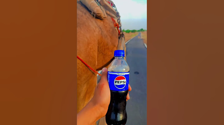 #camel#Coca-Cola#Pepsi#Manish Jaat#camel party 🥳