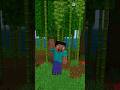 minecraft game emote #minecraft