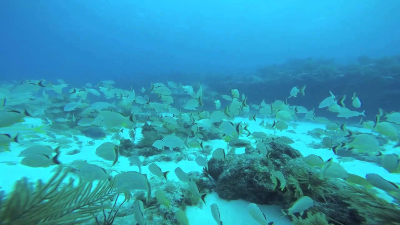 2015 New Years slideshow - YouTube