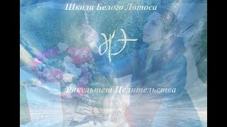 🦋Информация о факультете Целительство. Начало обучения 2-го ноября! 🦋Информация о факультете Целительство. Начало обучения 2-го ноября!