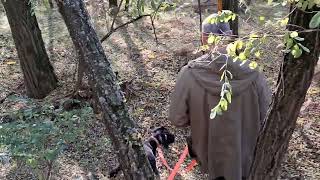 Deutsch-Drahthaarquill Vrbas Pannonian Sea4 Órás Vércsapa Gyakorlásfaragohunters Kennel