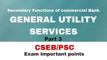 General utility Services 3| Secondary Functions of commercial Bank| CSEB/PSC point| The white paper