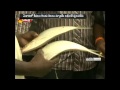 Pulasa fish costs between Rs 2,000 to Rs 6,000 per kg