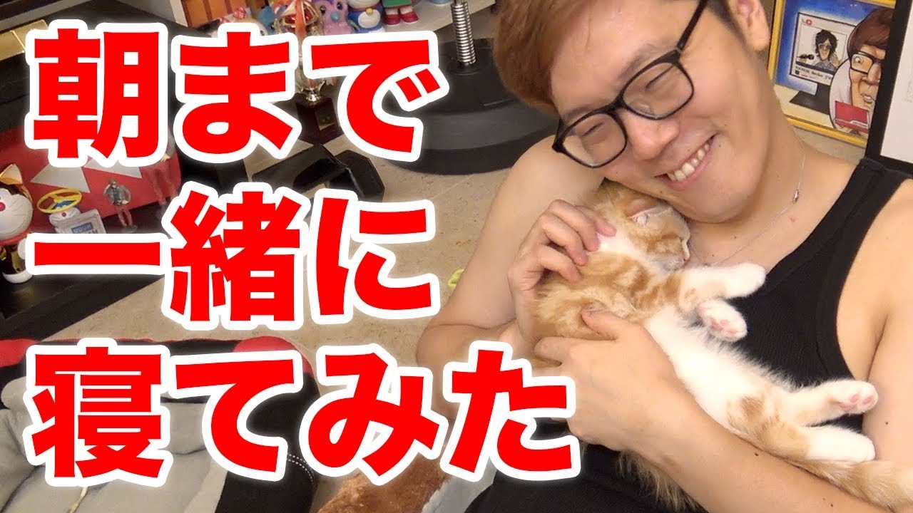 まるおと朝まで一緒に寝てみたら…【まるおの成長日記 #6】