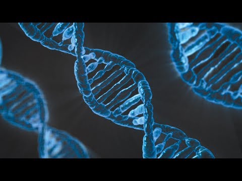 Maths is Coded in Your Genes - Professor Chris Budd OBE Instructional Video