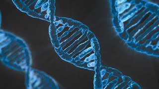 Maths is Coded in Your Genes - Professor Chris Budd OBE