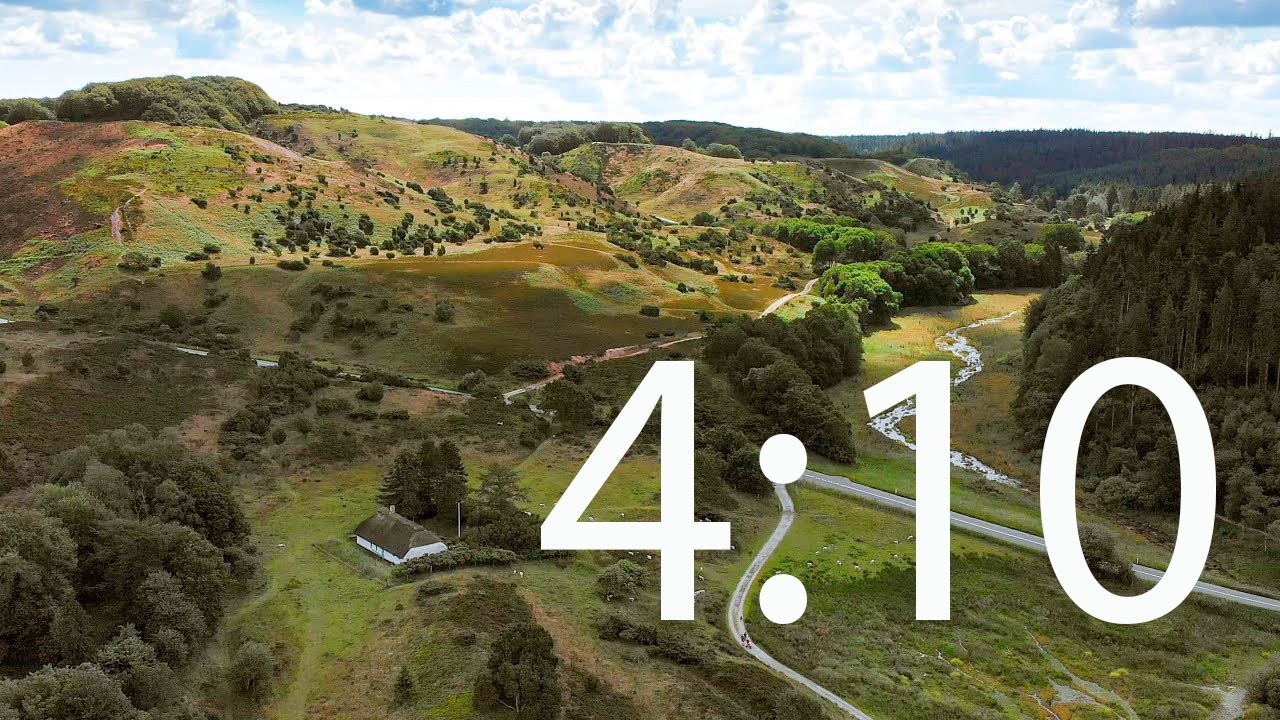 Rold Skov i fugleperspektiv - del 4