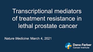 Dana-Farber Research: Treatment resistance in prostate cancer