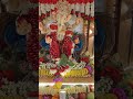 # at our home # Ganesh celebration #@Daily with Sanjana #