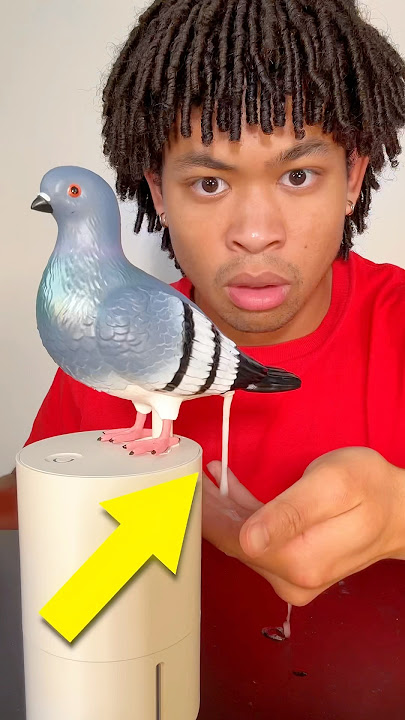 The WEIRDEST Inventions in the World 😭