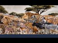 Cat Family Size Comparison: Living and Extinct | Big Cats Size Comparison