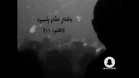 قران كريم || مقطع قصير || حالات الانستا || ارح سمعك 😴🙏🏻🤍
