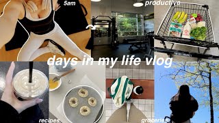 a few days in my life *vlog*🪞🌱 healthy recipes, early mornings, working out + grocery haul