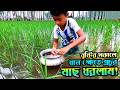 বৃষ্টির সকালে ধানক্ষেতে প্রচুর মাছ ধরলাম। Grameen Life Fishing in Rain। Free Minder