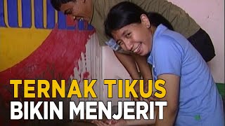 Penangkaran tikus putih sebagai usaha yang tak lazim tapi menjajanjikan | JELAJAH