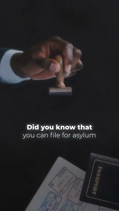 lgbt-asylum-rights-with-trial-sharks-shorts-lgbt-lgbtq-lawyer